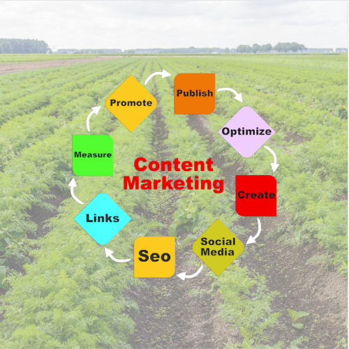 Content Marketing for Large Vegetable Farms, digital marketing, inbound marketing